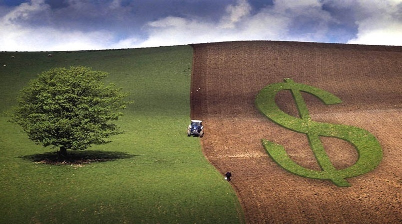 Liberação de crédito rural soma R$ 148 bilhões até outubro, alta de 22% |  AGROemDIA